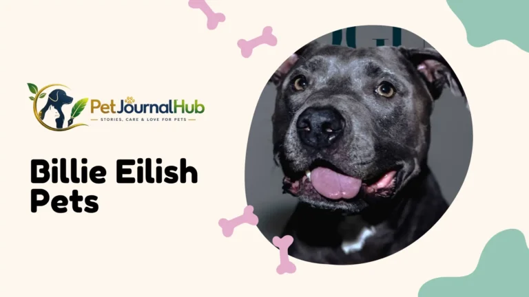 Rescue dog and cat representing the pets Billie Eilish has owned