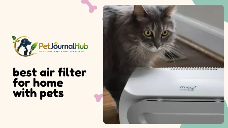 Best air filter for home with pets running in a living room with a dog nearby