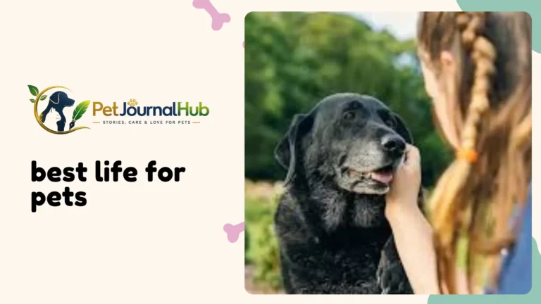 Dog and cat relaxing together at home, representing the best life for pets