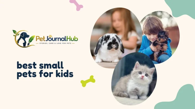 Child holding a guinea pig, one of the best small pets for kids