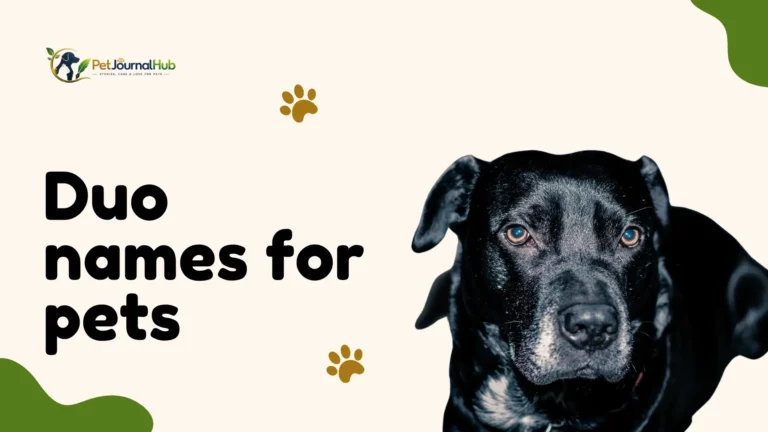 duo names for pets