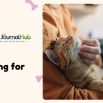 Pet owner reviewing estate planning documents with dog nearby