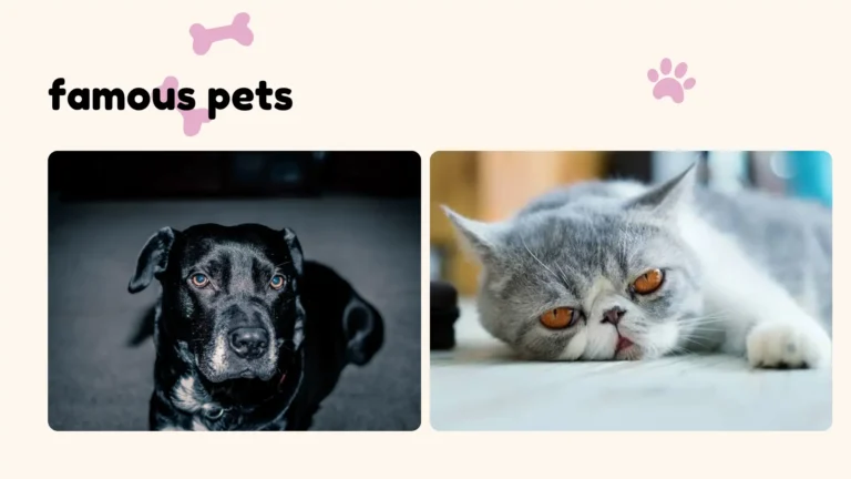 Dog and cat sitting together at home, representing famous pets in everyday life