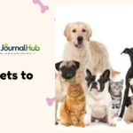 Good pets to have at home, including a dog, cat, and guinea pig
