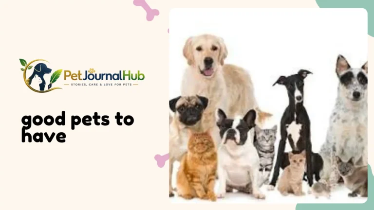 Good pets to have at home, including a dog, cat, and guinea pig