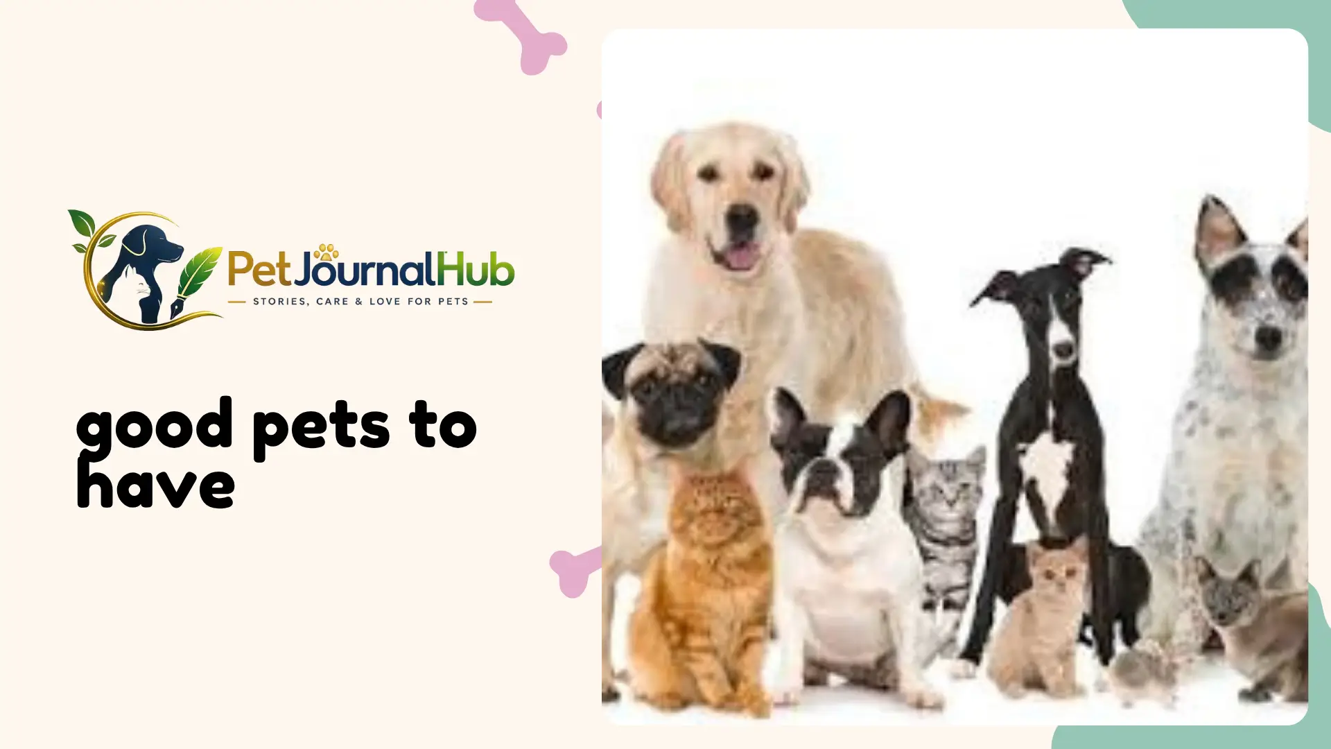 Good pets to have at home, including a dog, cat, and guinea pig