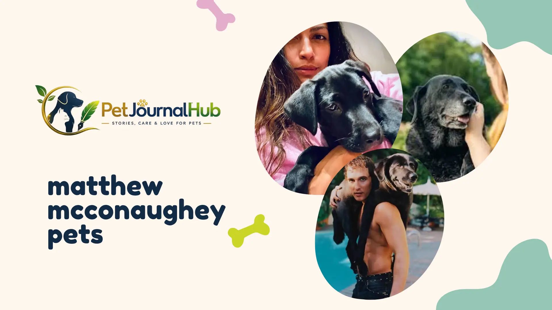 Matthew McConaughey pets — family with rescue dogs and cat