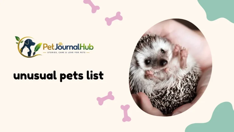 Unusual pets list featuring a hedgehog, axolotl, and bearded dragon