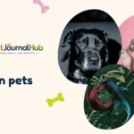 Best pets for kids — dog, cat, fish, bird, and other family-friendly pet options