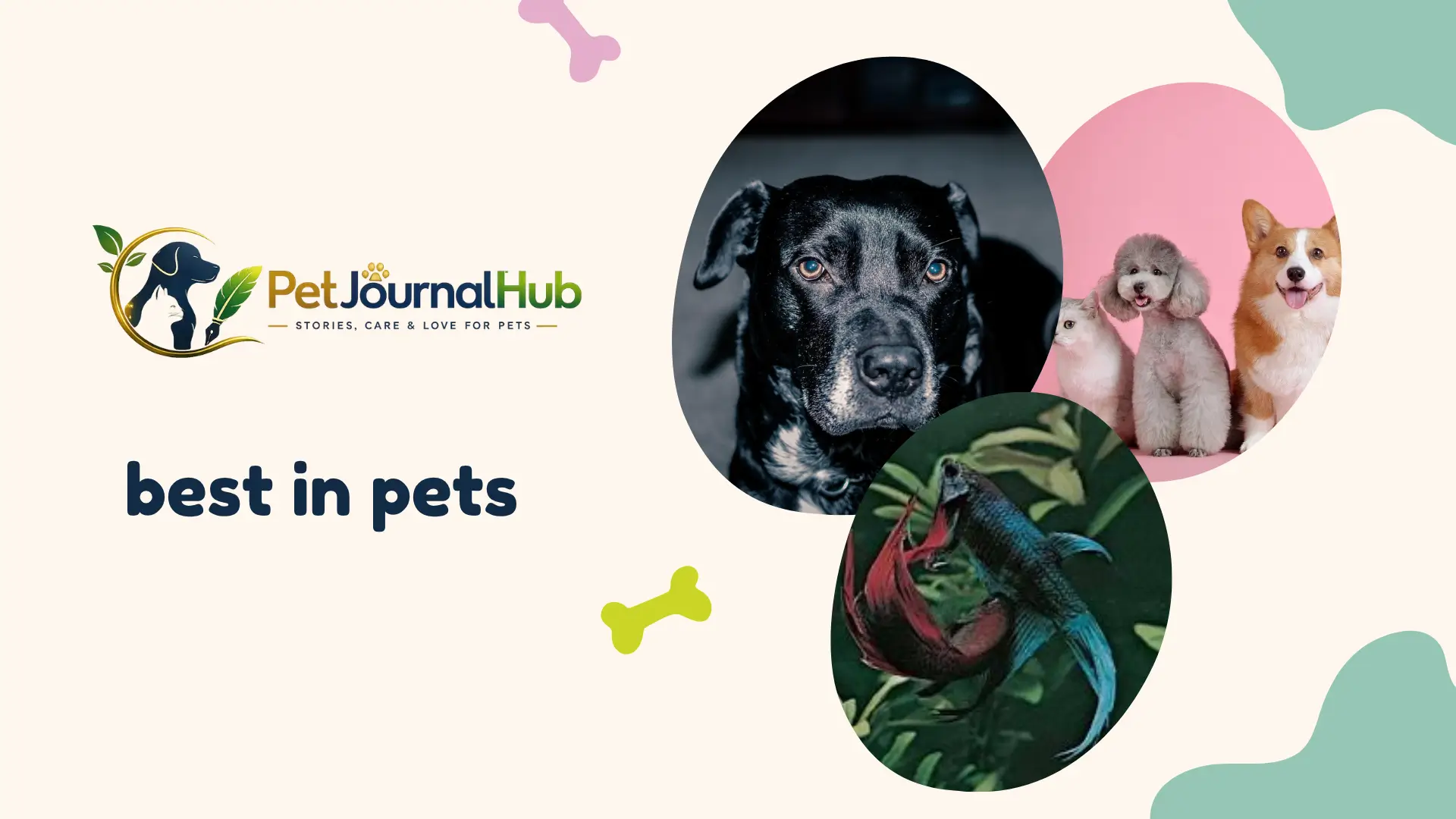 Best pets for kids — dog, cat, fish, bird, and other family-friendly pet options