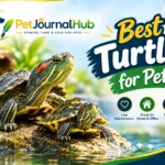Best pet turtles, including a musk turtle, painted turtle, and red-eared slider.