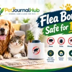 Flea fogger safety precautions for homes with cats and dogs