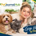 Gigi Hadid with a cat in a celebrity pet feature