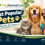 A dog, cat, rabbit, guinea pig, bird, hamster, and fish representing popular household pets.