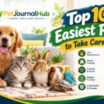 Top 10 easiest pets to take care of, including cats, dogs, hamsters, gerbils, fish, and other companion animals.